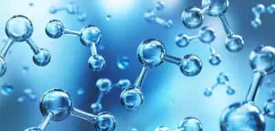 Ozone Solubility