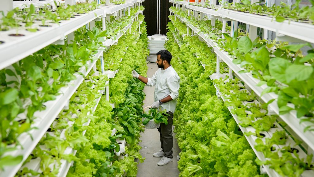 Vertical-Farming ozone for Vertical-Farming