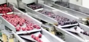 Ozone in the Food Industry