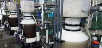 ozone for skimmers