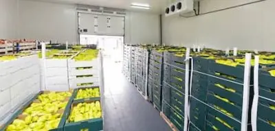 Ozone for cold storage