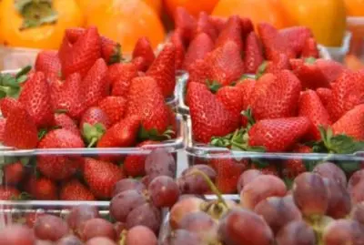 Ozone in Food processing