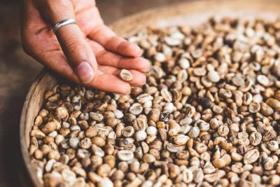 Ozone in grain and feed applications