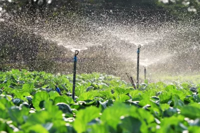 Ozone for Agricultural Irrigation Systems