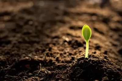 Ozone for Soil Remediation Support