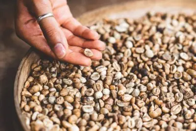 Ozone for grain