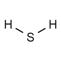 COMMON ODOR-COMPounds