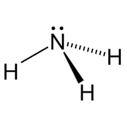 COMMON ODOR-COMPounds