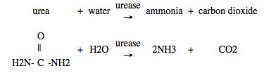 zeolite reaction 